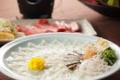 fugu-hp