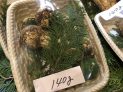 松茸メール